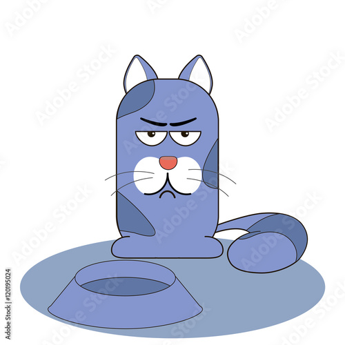 cat displeased