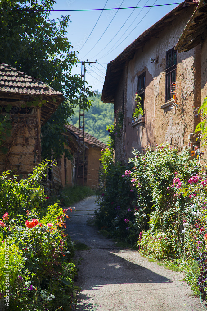 Fototapeta premium Old village