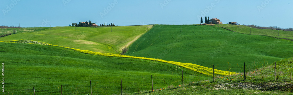 Obraz premium Tuscan countryside