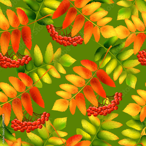 Autumn seamless pattern with rowan leaves. Vector illustration.