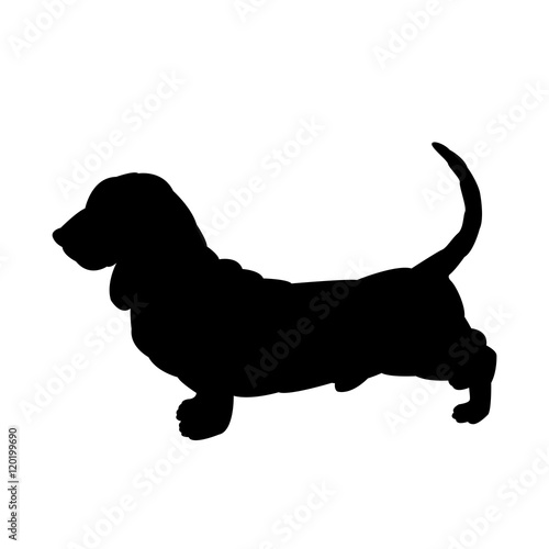 basset hound vector illustration black silhouette