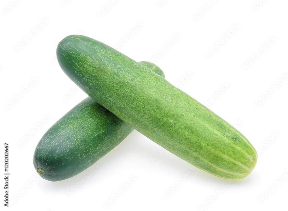 cucumber isolated on white background. cucumber isolated on white background.