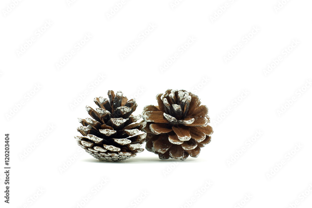 Small pine cone on white background. Decoration for Christmas season. Small pine cone on white background. Decoration for Christmas season.