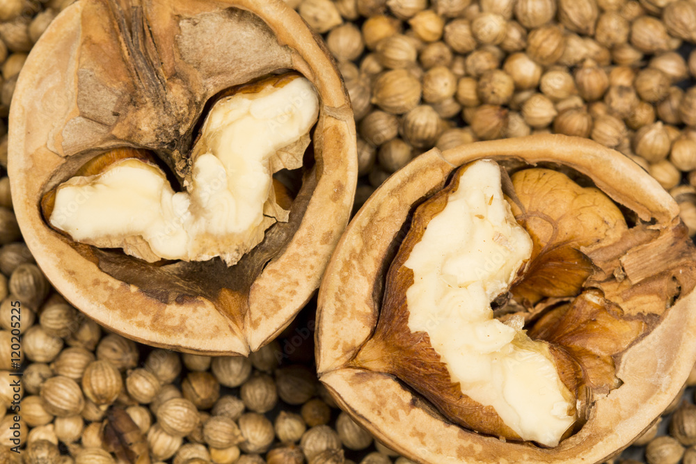 Coriander seeds with halves of walnut on black background Coriander seeds with halves of walnut on black background
