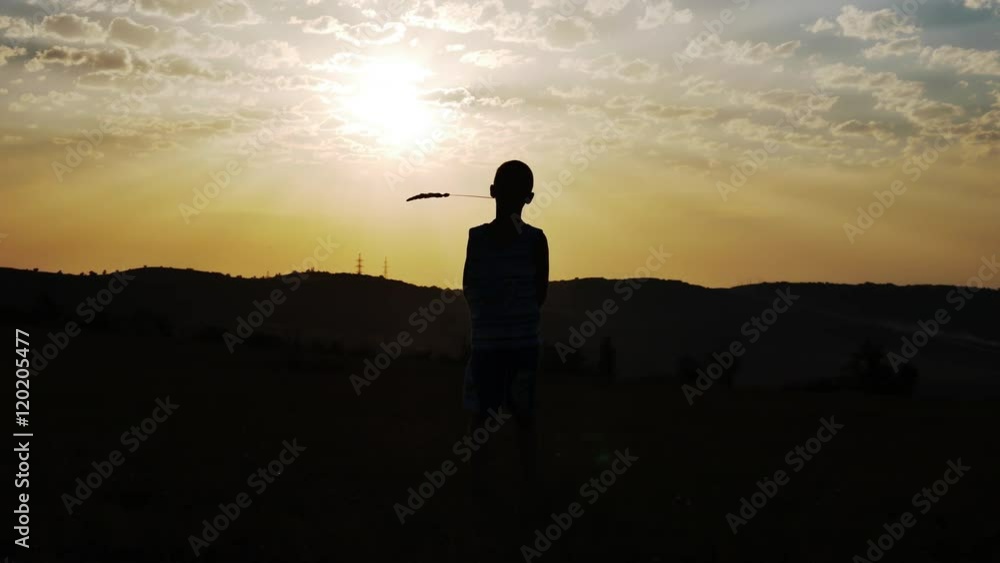Silhouette of a Boy on the Background of the Sun Keeps in His Mouth a Straw Waving in the Wind Silhouette of a Boy on the Background of the Sun Keeps in His Mouth a Straw Waving in the Wind
