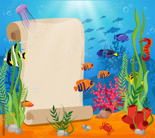 Photography Marine Life Composition