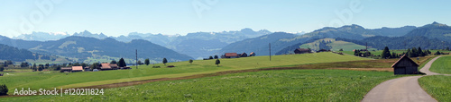 Panorama of green fieldsi