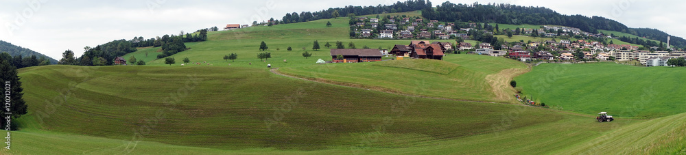 Manure on the slope of green hill