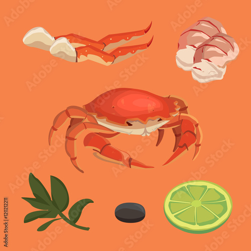 cartoon crab food collection, vector omar, set seafood and crab