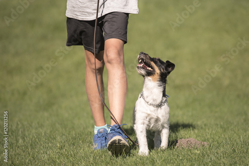 Schilderij op canvas perfect footwork  with a small dog - jack russell terrier