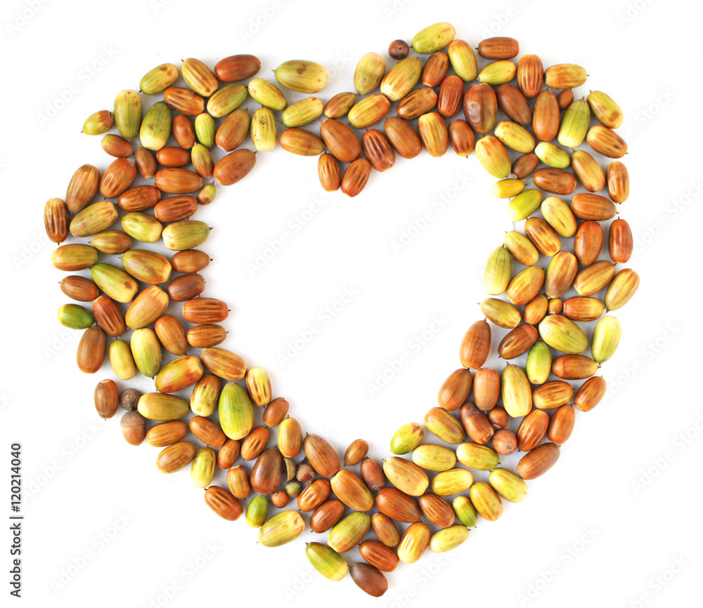 Heart-shaped acorns flat lay Heart-shaped acorns flat lay