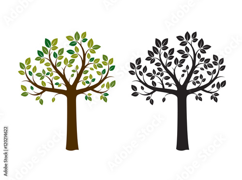 Color and Black Tree. Vector Illustration. Nature and Garden