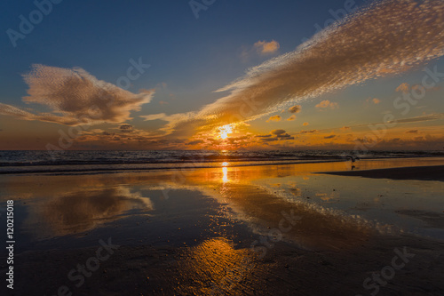 Beautiful Beach Sunset with a Seagull © genesisstudios
