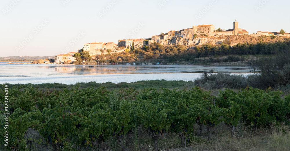 Paysage à Bages
