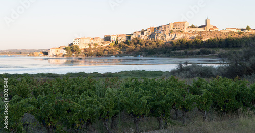 Obraz na płótnie Paysage à Bages w salonie