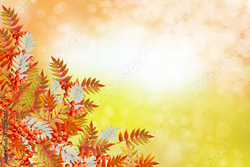 autumn landscape with bright colorful foliage. Indian summer.