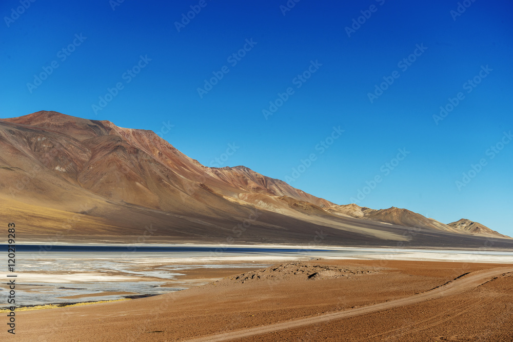 altoandina lagoon in Atacama