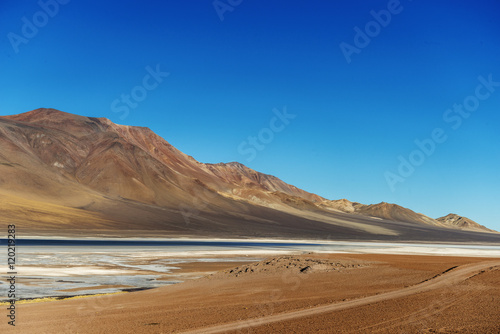 altoandina lagoon in Atacama