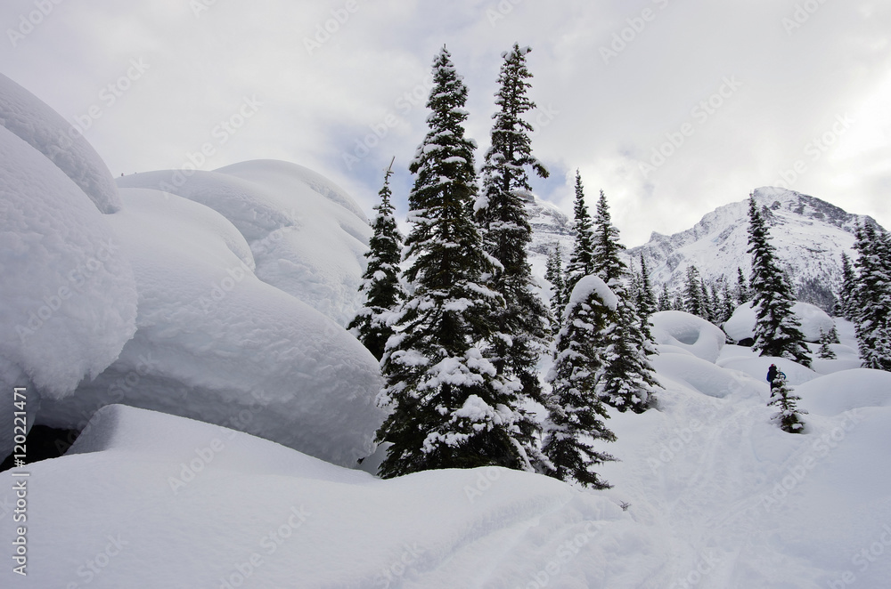 Glacier National Park, Canada. Winter landscape.