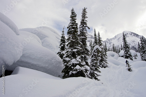 Obraz na płótnie Glacier National Park, Canada. Winter landscape. w salonie