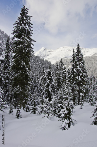 Obraz na płótnie Glacier National Park, Canada. Winter landscape. w salonie