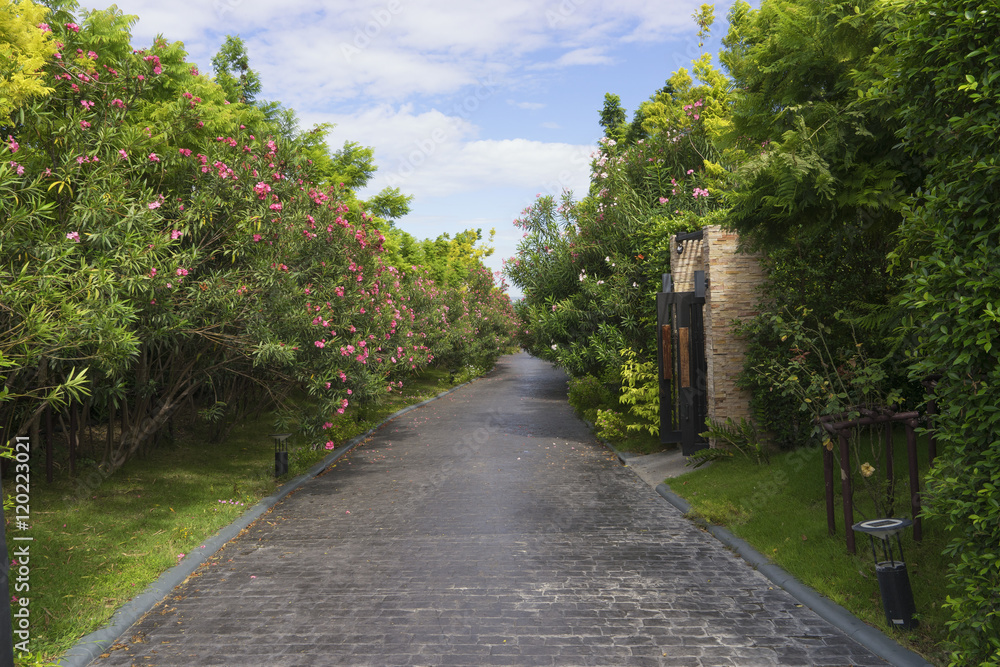 road on the garden and house with clear blue sky road on the garden and house with clear blue sky