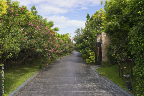 road on the garden and house with clear blue sky