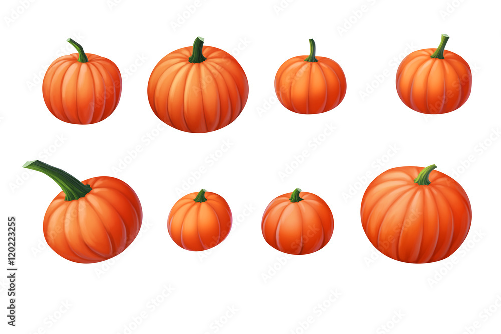 pumpkin isolated on white background pumpkin isolated on white background