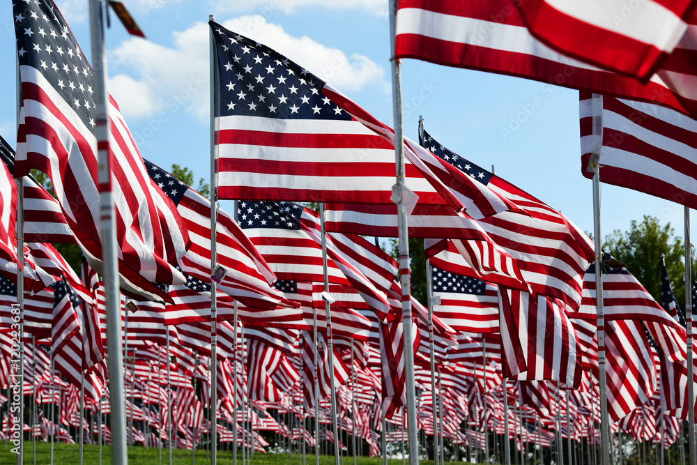 Field of American Flags