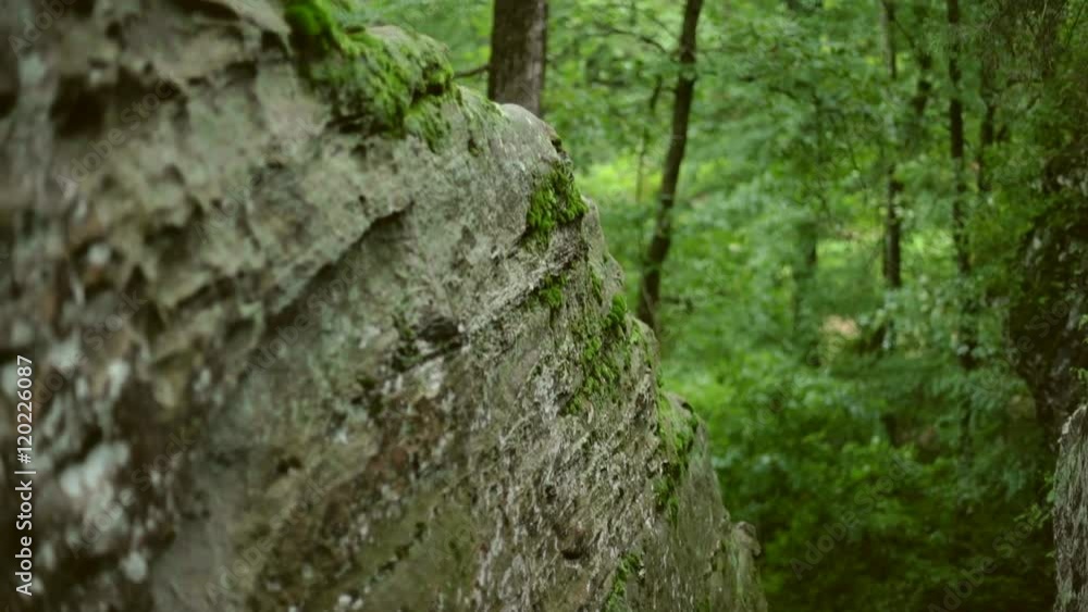 Panning shot of a textured rock face with moss and lichen growing on it. More of the boulder, forest, and rock formation are defocused in the background. Panning shot of a textured rock face with moss and lichen growing on it. More of the boulder, forest, and rock formation are defocused in the background.