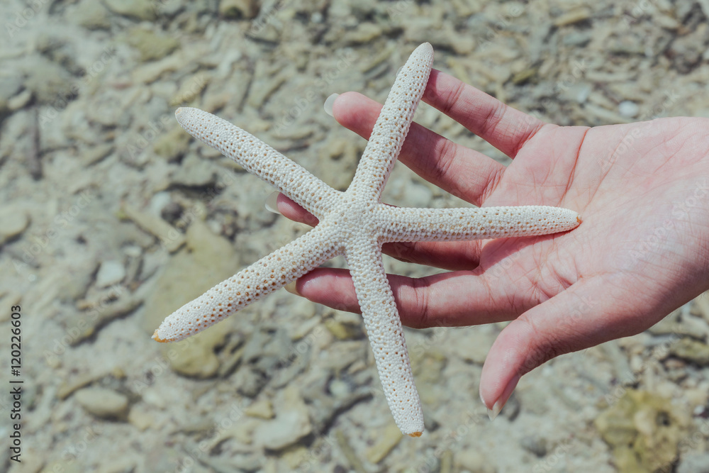 Closeup of Star fish in girl 's hand at tropical beach. Journey Closeup of Star fish in girl 's hand at tropical beach. Journey