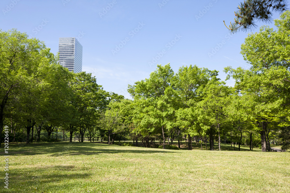green grass field in city park
