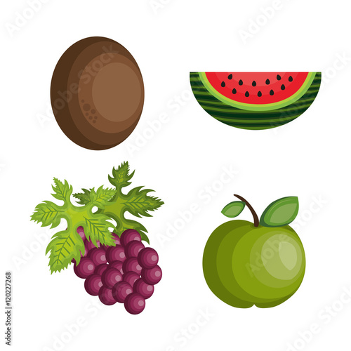 set cartoon fruits tropicals design vector illustration eps 10