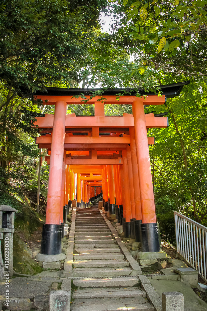 Torii gates in Fushimi Inari Shrine - Kyoto, Japan Torii gates in Fushimi Inari Shrine - Kyoto, Japan