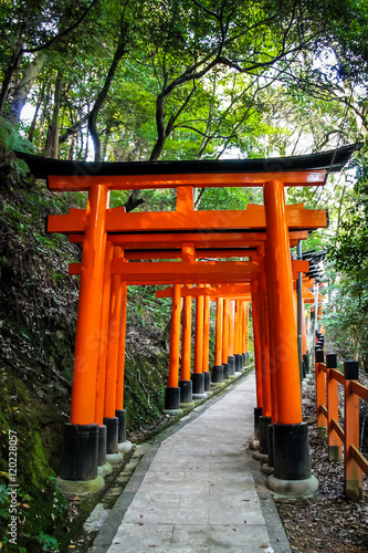 Torii gates in Fushimi Inari Shrine - Kyoto  Japan