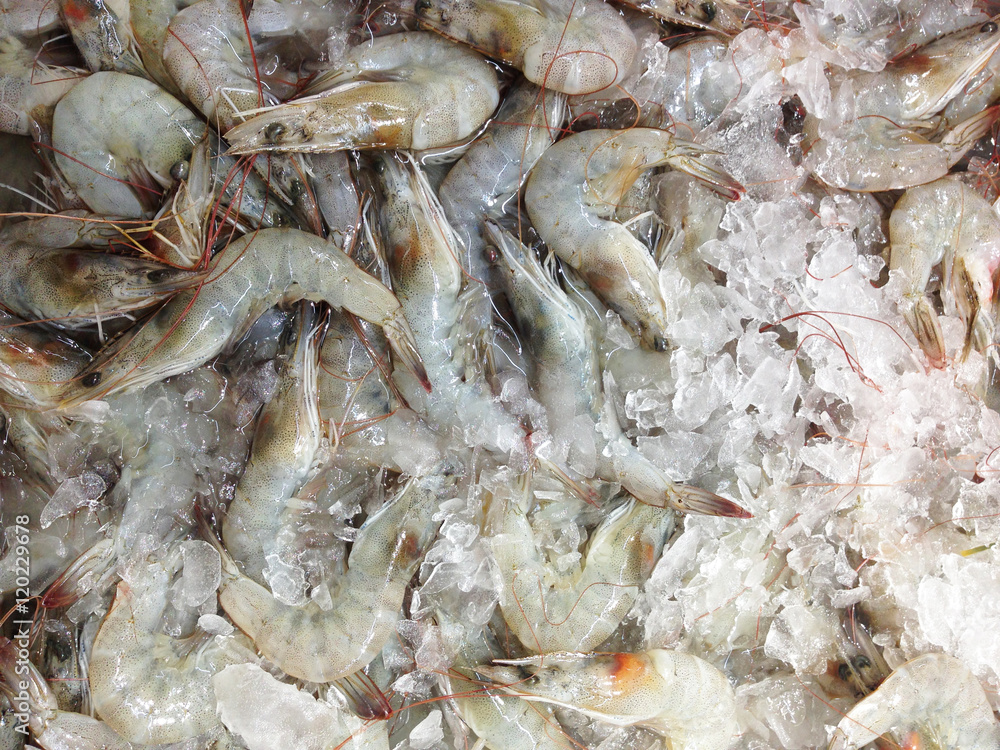fresh shrimp on ice at the market