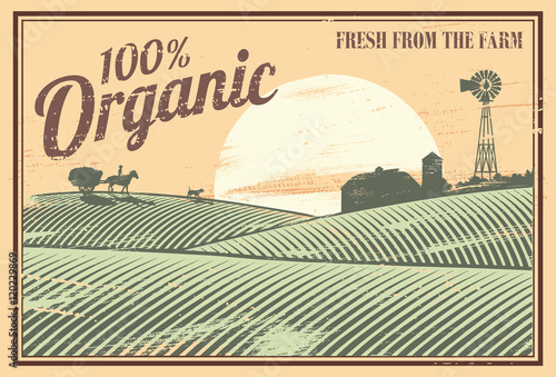 Vintage sign, organic farm