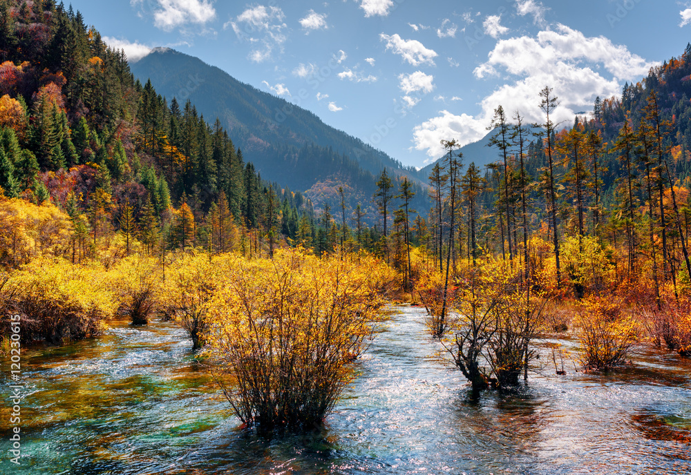 Amazing river with crystal water among fall forest and mountains
