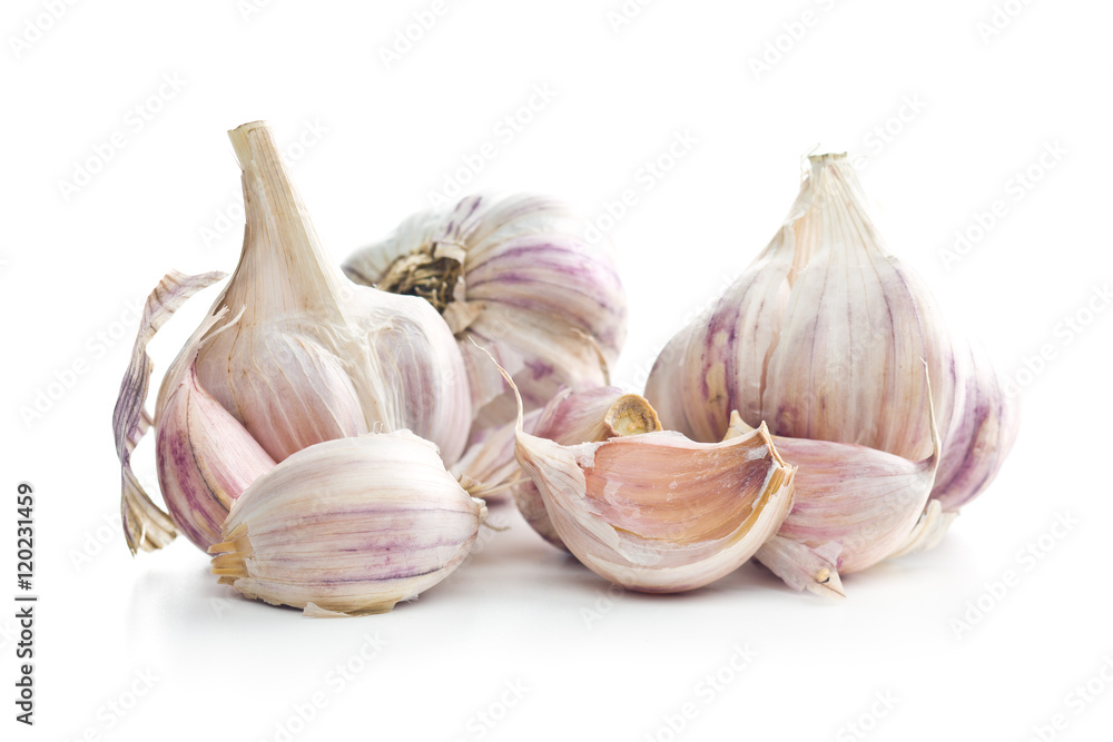 Obraz premium The fresh garlic.