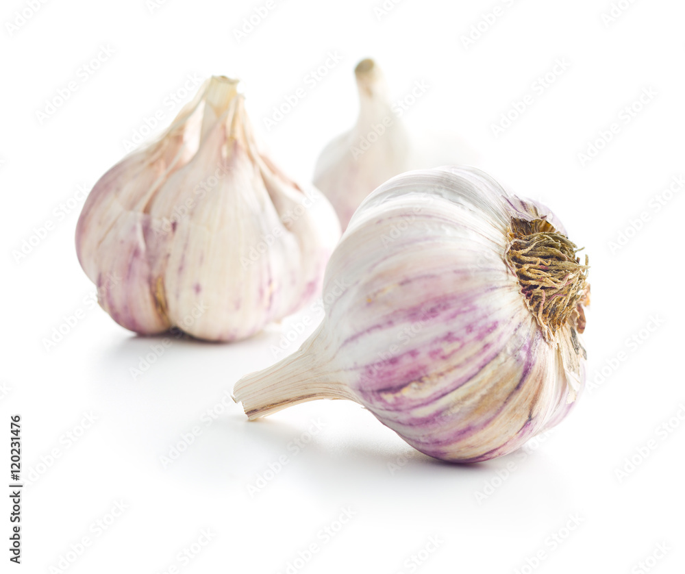 Obraz premium The fresh garlic.