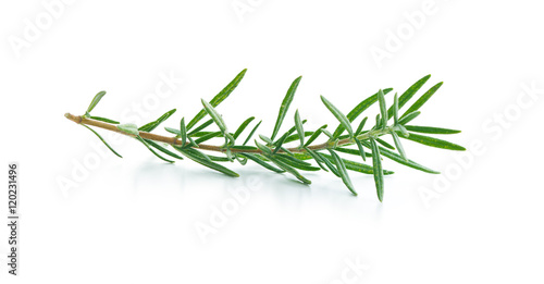 The rosemary branch.