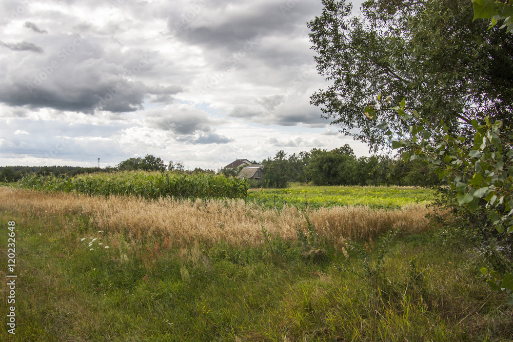 Obraz premium Village landscape