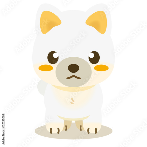 いぬっこ倶楽部 柴犬（白）