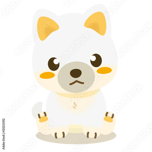 いぬっこ倶楽部 柴犬（白）