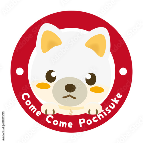 いぬっこ倶楽部 柴犬（白）