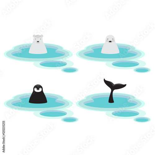 Arctic and Antarctica Animal