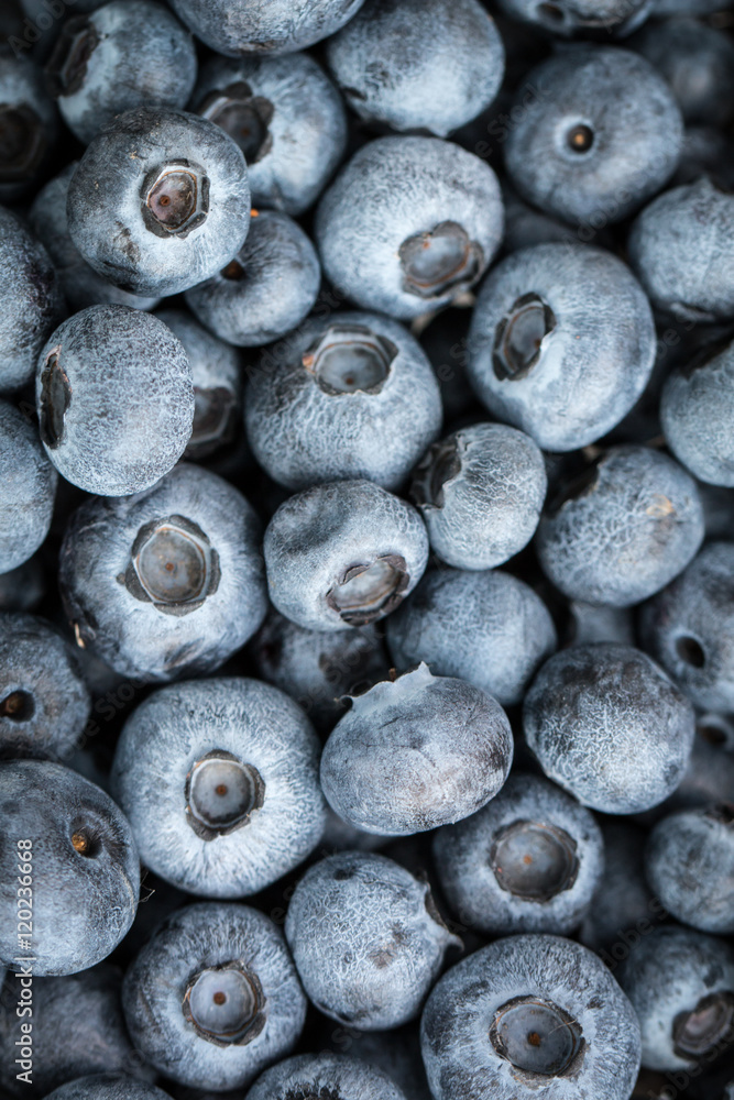fresh summer berries, healthy food on table fresh summer berries, healthy food on table