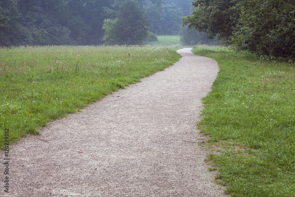 Path along the field to the forest. Evening before rain.