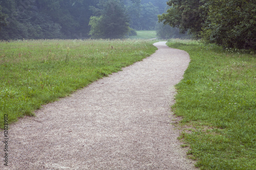 Path along the field to the forest. Evening before rain.