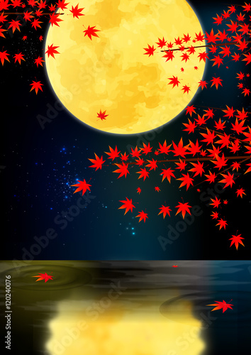 水辺で見る紅葉と月2